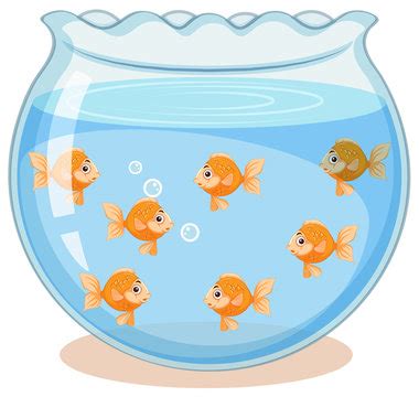Free Fishbowl Cliparts, Download Free Fishbowl Cliparts png images .